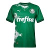 Maglia ufficiale Palmeiras Special 2024 Verde per Uomo